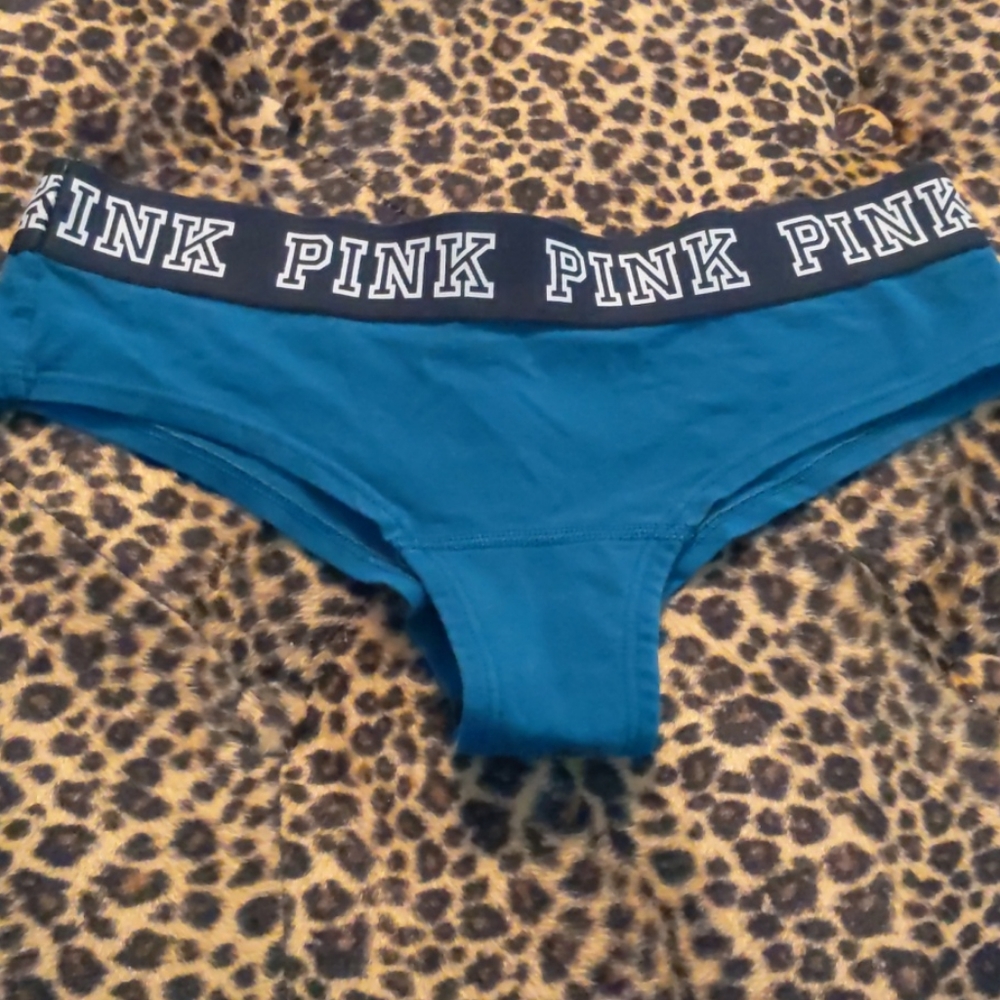 Victoria's Secret Pink Cheekster Panties